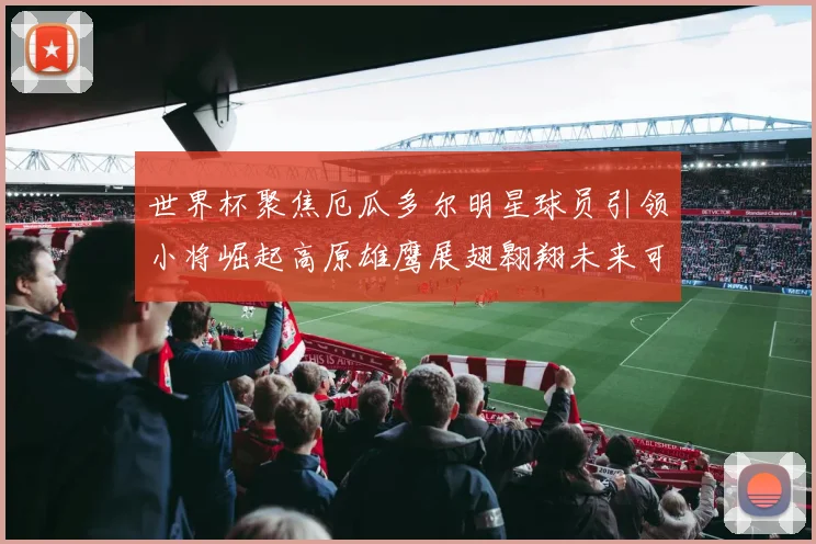 世界杯聚焦厄瓜多尔明星球员引领小将崛起高原雄鹰展翅翱翔未来可期